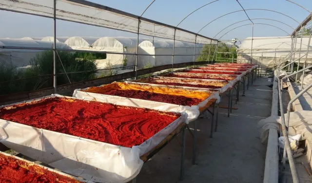 Kahramanmaraş usulü biber salçası nasıl yapılır?