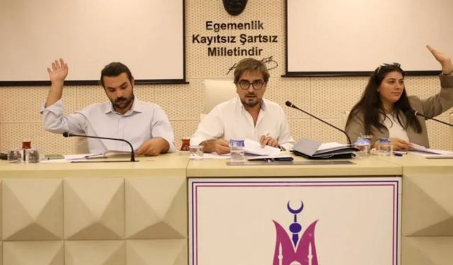 Ahmet Anıl Ceylan Kimdir? CHP'li Siyasetçinin Kariyeri Ve Gözaltı Süreci Merak Ediliyor