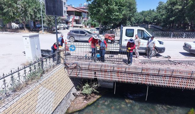Battal ve Hamid-i Veli köprüleri yenileniyor