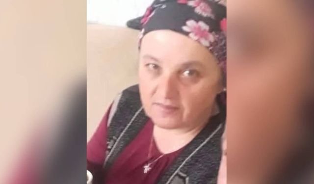 Eşek arısı sokan kadın hayatını kaybetti