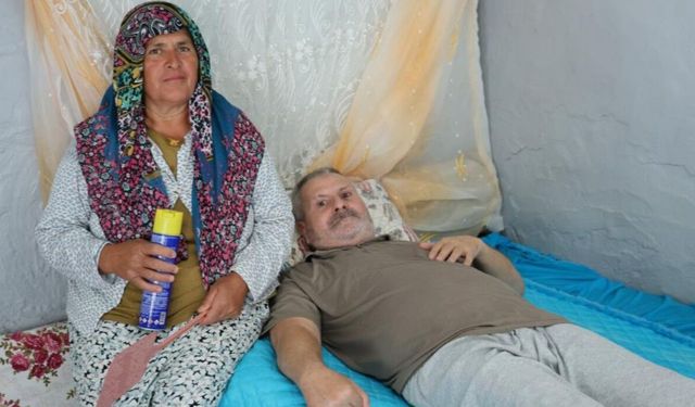Felçli eşinin başında sinek nöbeti tutuyor