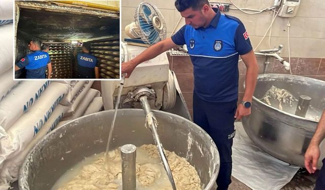 Fırında mide bulandıran manzara: 17 ayrı ceza kesildi