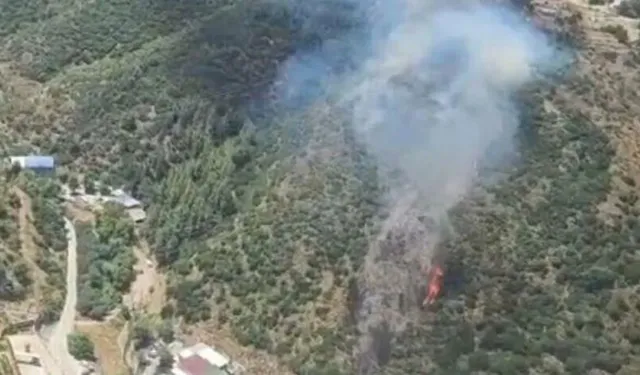 İzmir Narlıdere Yangını Son Dakika: Yangın Söndürüldü mü, Neden Çıktı?