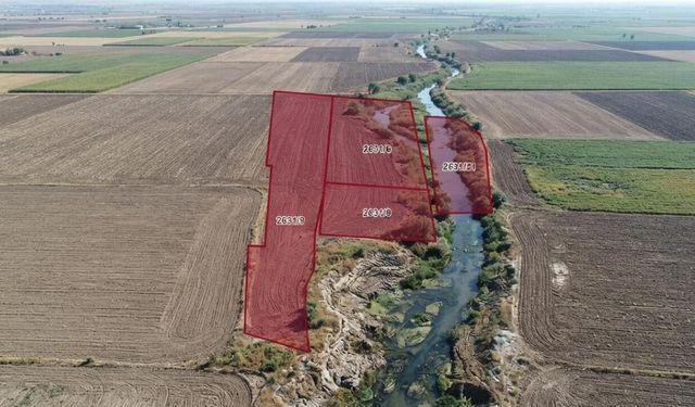 Kahramanmaraş Elbistan'da milyonluk arsalar icradan satışa konuldu