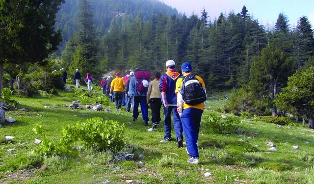 Kahramanmaraş'ın Gizli Cenneti Başkonuş Yaylası Nerede, Nasıl Gidilir, Giriş Ücretli mi?