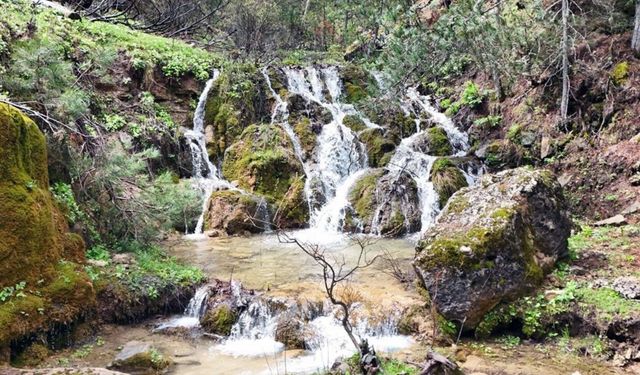Kahramanmaraş'ın Saklı Cenneti Geben Vadisi Milli Parkı Nerede, Nasıl Gidilir, Girişi Ücretli Mi?