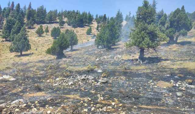 Kahramanmaraş'ta iki orman yangını kontrol altında