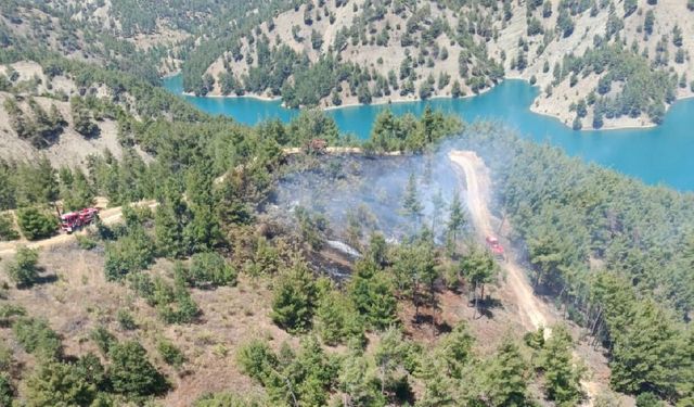 Kahramanmaraş'ta orman yangını: Havadan ve karadan müdahale edildi