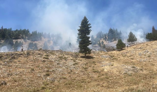 Kahramanmaraş'ta Orman Yangınına Havadan ve Karadan Müdahale