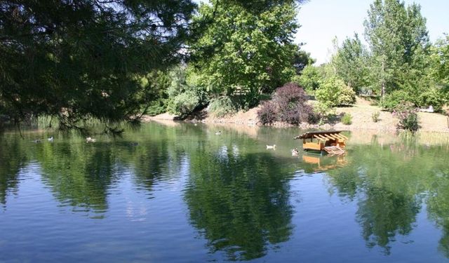 Kapıçam Tabiat Parkı Nerede, Nasıl Gidilir, Giriş Ücretli mi?