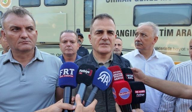Muğla Fethiye'de orman yangını söndürüldü