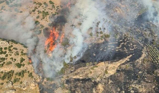 Pamukkale’de orman yangınına çok sayıda ekip müdahale ediyor