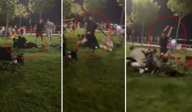 Pikniğe gidip dayak yediler: Yumruklar, sopalar havada uçuştu!