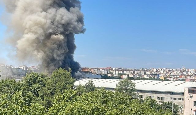 Sünger fabrikasında yangın
