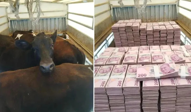 200 TL Desteleri ile Danaları Yan Yana Paylaştı! Notu Olay Oldu