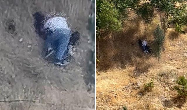 Ailelerin ve çocukların kullandığı parkta skandal! Uygunsuz halde yakalandılar