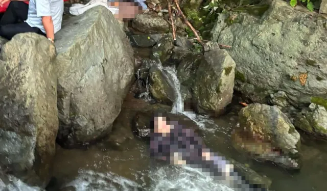 Fındık Toplamaya Giden 2 Kız Kardeş Derede Ölü Bulundu