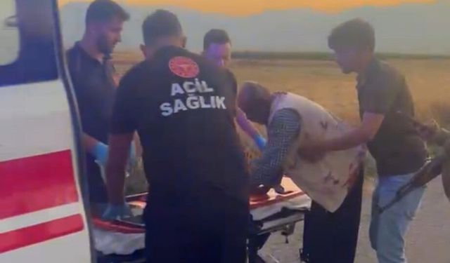 Gaziantep'te hayvan otlatma kavgası büyüdü! Baba ile oğlu sopalarla yaralandı