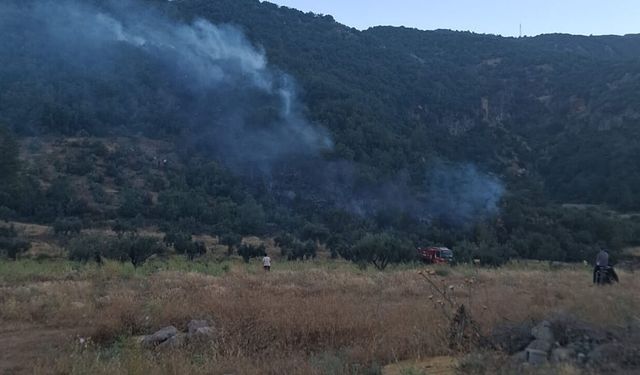 Kahramanmaraş Orman Bölge Müdürlüğünden İslahiye yangını açıklaması