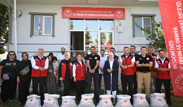 Kahramanmaraş’ta 1.5 milyon TL’lik salep yumrusu hibesi dağıtıldı