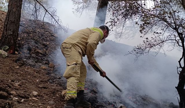 Kahramanmaraş Ahır Dağı’ndaki orman yangınına müdahale sürüyor