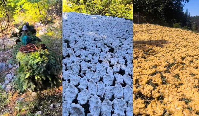 Kahramanmaraşlı kadınların el emeği! Tarhananın doğadaki serüveni