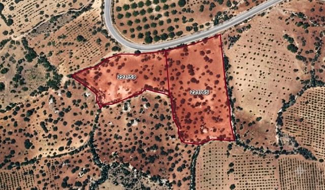 Kahramanmaraş'ta 7 milyon liralık dev fıstık arazileri icradan yarı fiyatına gidiyor!