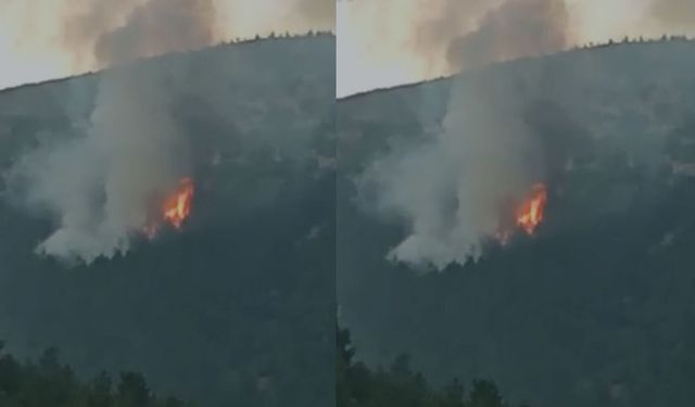 Kahramanmaraş’ta Ahır Dağı yanıyor! Yıldırım yangına neden oldu