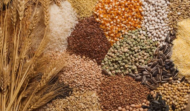 Kahramanmaraş'ta buğday, arpa ve mercimek fiyatları açıklandı!