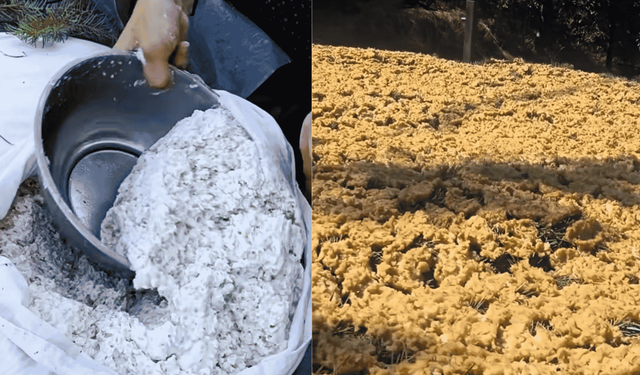 Kahramanmaraş'ta geleneksel tarhana mesaisi başladı!