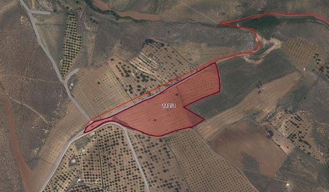 Kahramanmaraş'ta icradan 29 dönüm kayısı bahçesi satılıyor