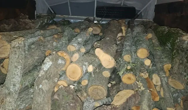 Kahramanmaraş'ta kaçak kesilen ağaçlara el konuldu