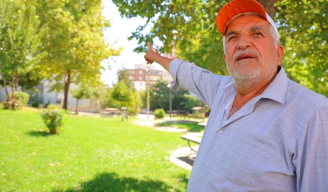 Kahramanmaraş'ta kargalar parkı mesken tuttu!