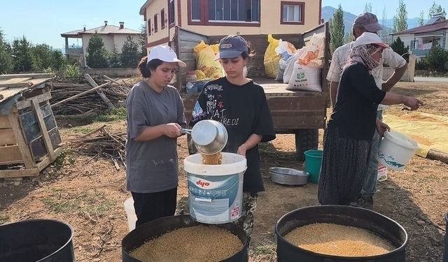 Kahramanmaraş'ta okuyan öğrenci tarlada çalışıyor
