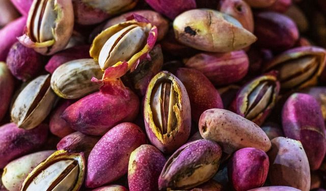 Kahramanmaraş'ta Yaş Fıstık Sezonu Yüksek Fiyatla Başladı