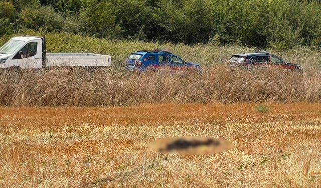 15 gündür aranıyordu! Kayıp adamın cansız bedeni tarlada bulundu