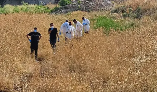 Tarlada Erkek Ces*di Bulundu