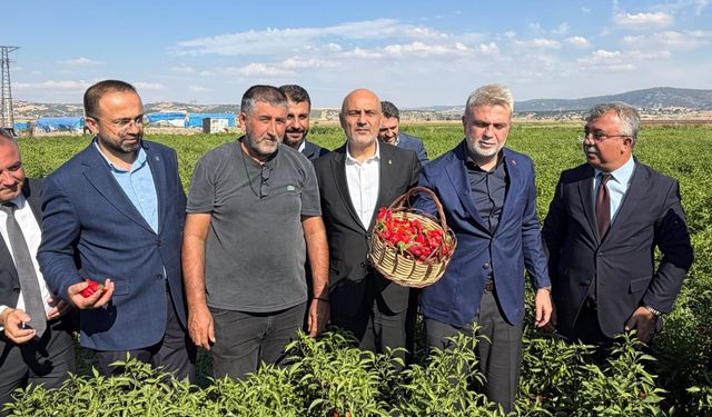Kahramanmaraş biberinde hasat zamanı: Başkan Görgel üreticilerle buluştu