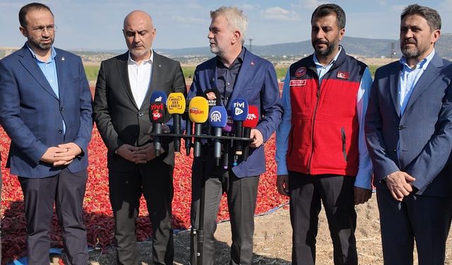 Kahramanmaraş biberinde hasat zamanı: Başkan Görgel üreticilerle buluştu