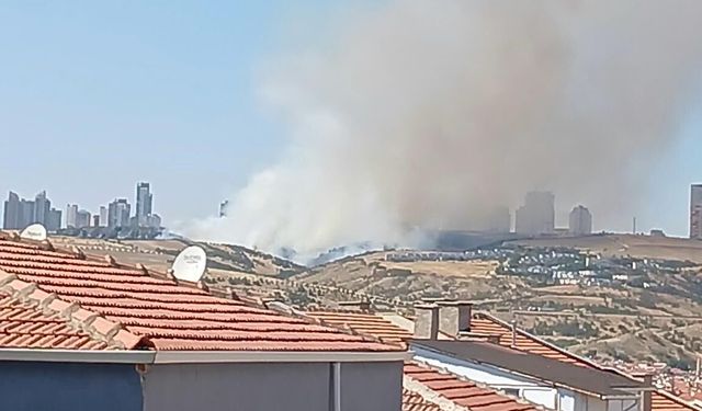 Kahramanmaraş'ta Ziraat Alanında Çıkan Yangın Kontrol Altına Alındı