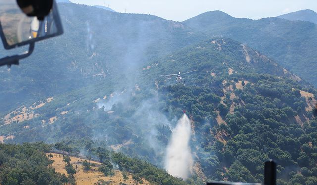 Kahramanmaraş Türkoğlu'nda korkutan orman yangını