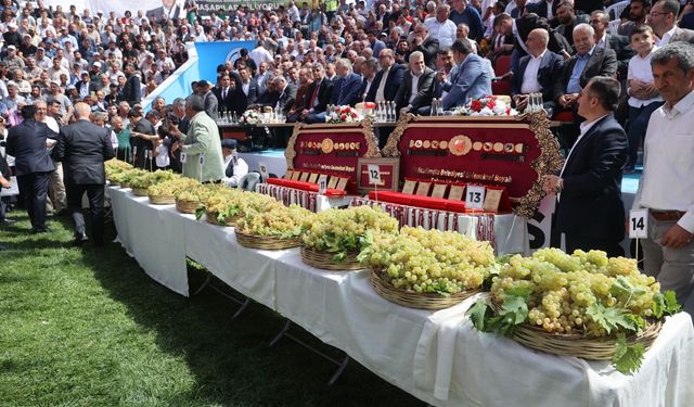 Kahramanmaraş’ta 30. Bertiz Boyalı Güreş Festivali heyecanı