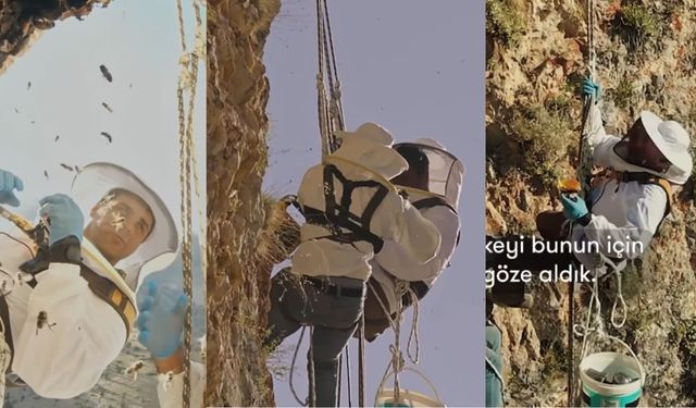 Kahramanmaraş'ta bal hasadı böyle yapılıyor! Görenler şaşkına döndü