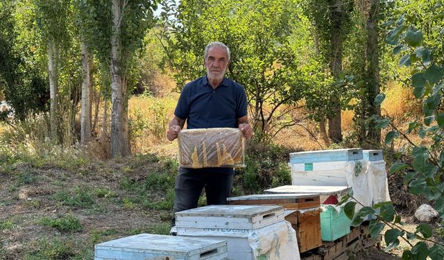 Kahramanmaraş’ta bal peteğinde şaşırtan görüntü: “Allah” yazısını andırıyor