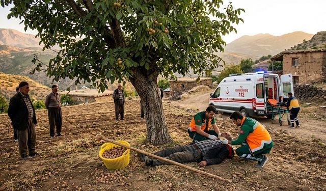 Kahramanmaraş’ta Ceviz Ağacından Düşen Adam Ağır Yaralandı