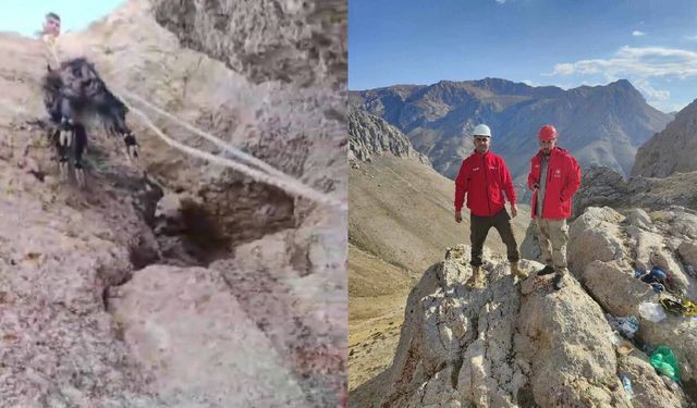 Kahramanmaraş'ta kayalıklarda mahsur kalan keçiler kurtarıldı