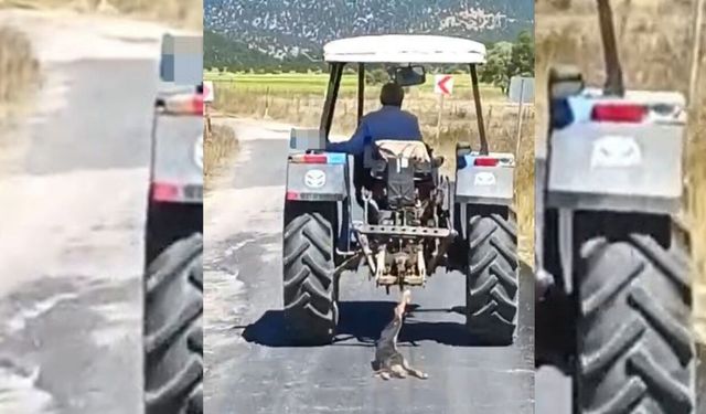 Kahramanmaraş’ta köpeği traktöre bağlayarak sürükledi