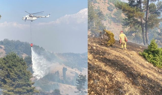 Kahramanmaraş’ta orman yangını ekipleri seferber etti