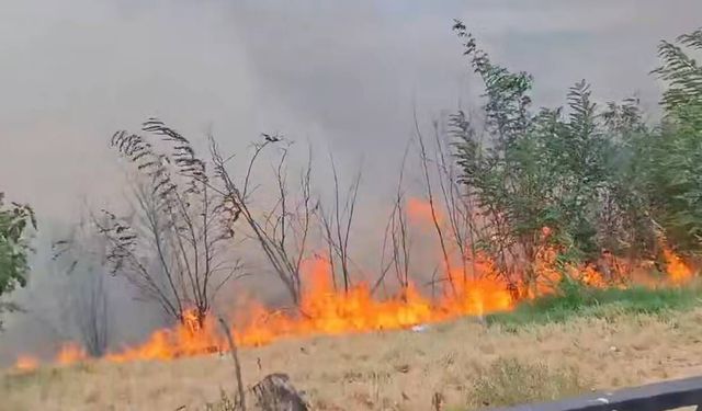 Kahramanmaraş’ta ormanlık alanda korkutan yangın!