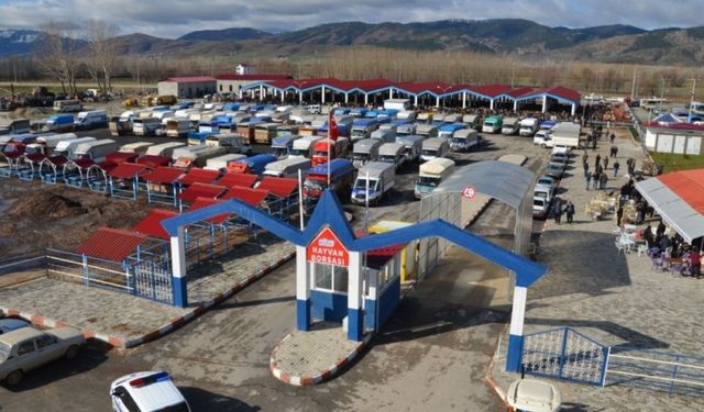 Kahramanmaraş’ta şap tedbiri hayvan borsası kapatıldı!